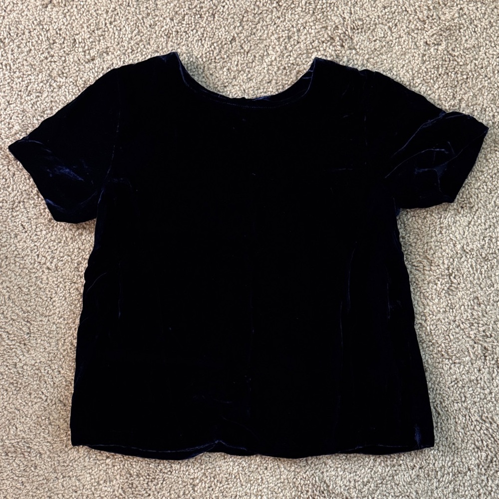 Ella Moss Deep Blue Velvet Top